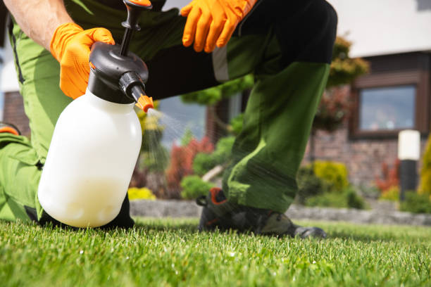 Best Pest Control for Businesses  in Walce Ridge, LA