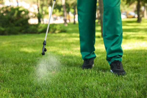 Best Mosquito Control Services  in Walce Ridge, LA