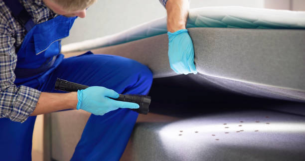 Best Affordable Pest Control Services  in Walce Ridge, LA