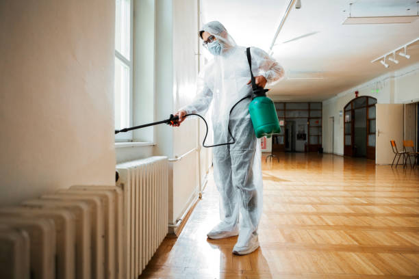 Best Rat Extermination Near Me  in Walce Ridge, LA
