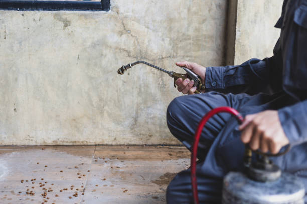 Best Best Pest Control Companies  in Walce Ridge, LA